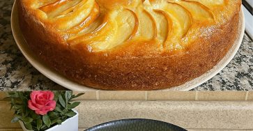 533511609 122204768108268576 4023879321898401534 n