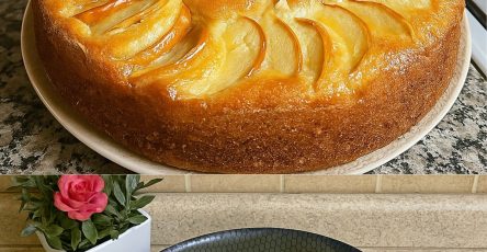 533511609 122204768108268576 4023879321898401534 n