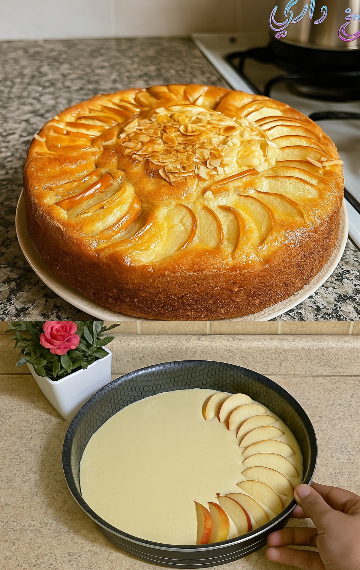 533511609 122204768108268576 4023879321898401534 n