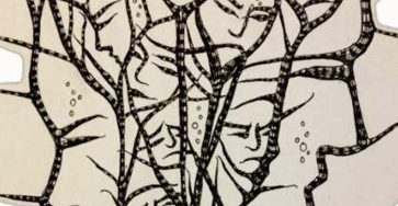 552916934 794487693167163 95115348442055317 n