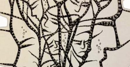 552916934 794487693167163 95115348442055317 n