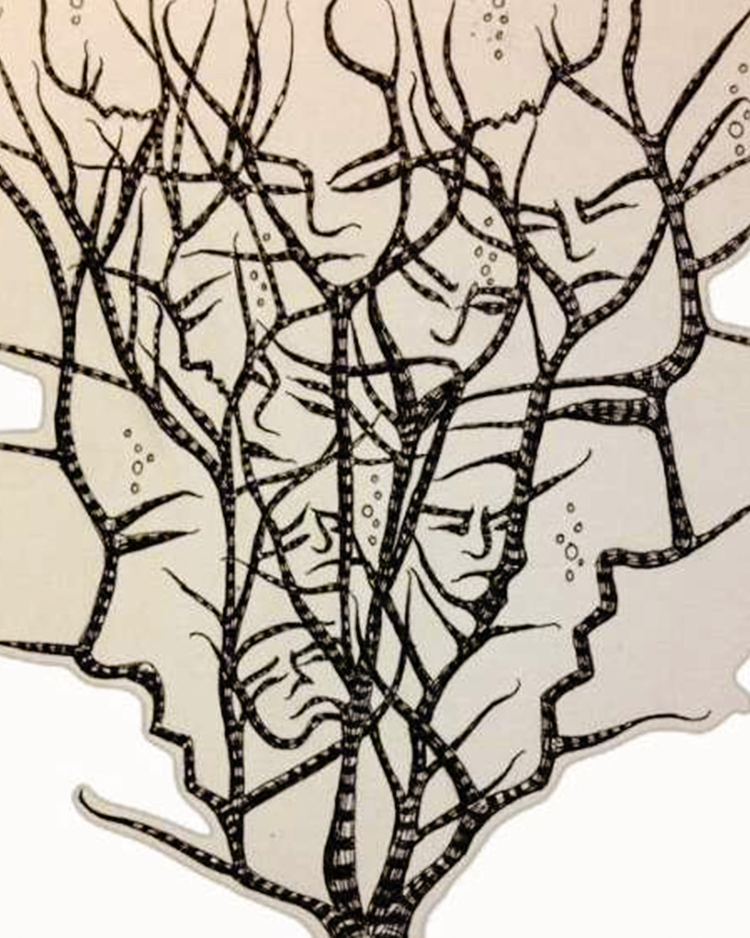 552916934 794487693167163 95115348442055317 n