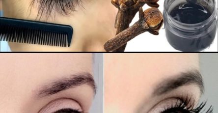 554931368 4259822107598300 8603325705760225076 n