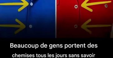 574114445 1386111582907537 7179302518621410100 n