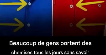 574114445 1386111582907537 7179302518621410100 n