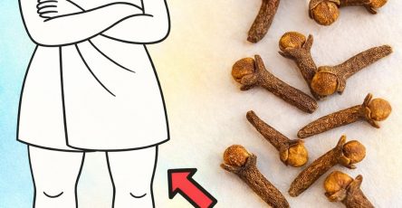 589287222 1385698173077251 6937416040619468763 n 1 1286x1536 116