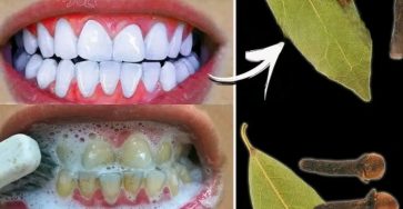 5baa513f 9ac3 4b2b 9a39 c050e71ed5b4