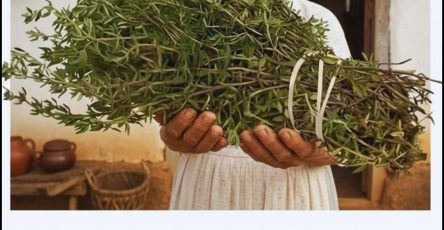 615926416 882472847764011 5677462043288616124 n1