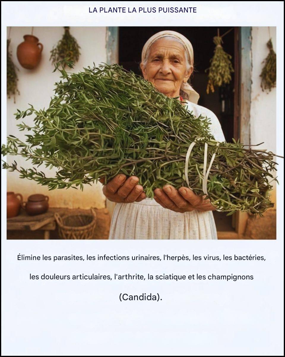 615926416 882472847764011 5677462043288616124 n1