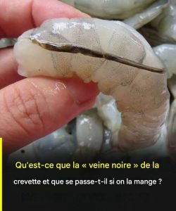 618083589 122310940394193188 6552394603448253931 n