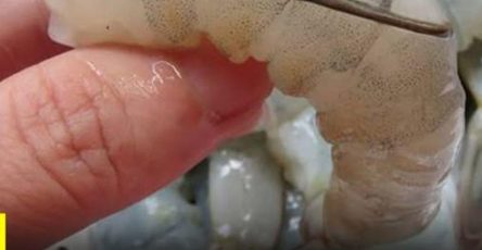 618083589 122310940394193188 6552394603448253931 n