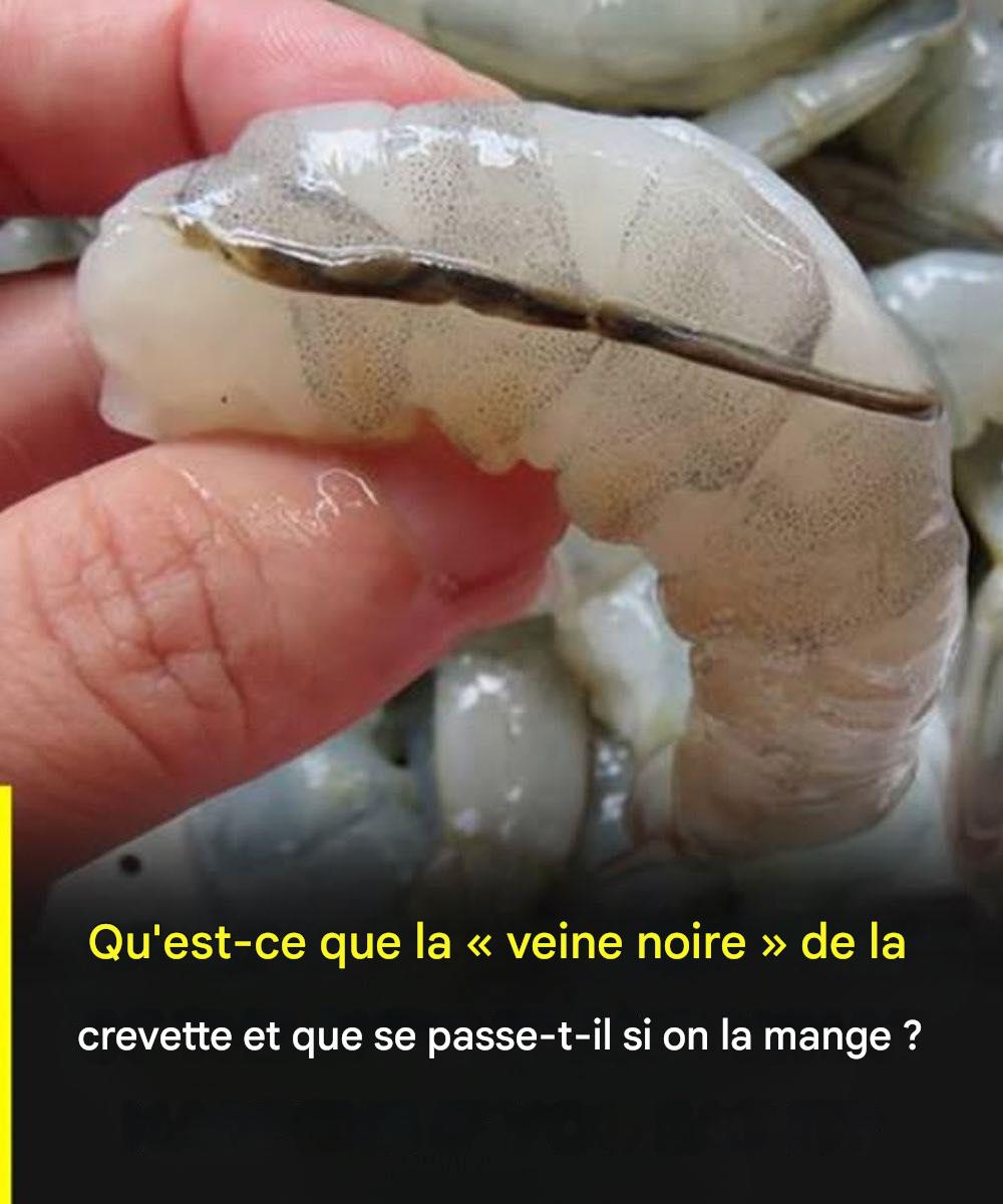 618083589 122310940394193188 6552394603448253931 n