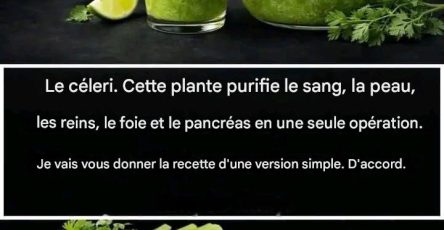 637843328 122328601994191744 2363934889917458524 n 118