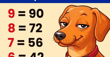 640199593 1436296191497802 4285808347556014190 n