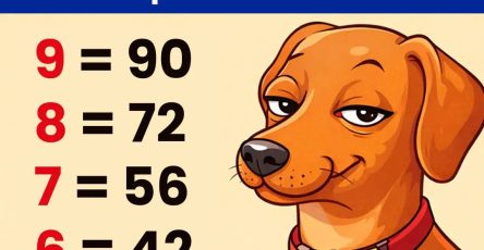 640199593 1436296191497802 4285808347556014190 n