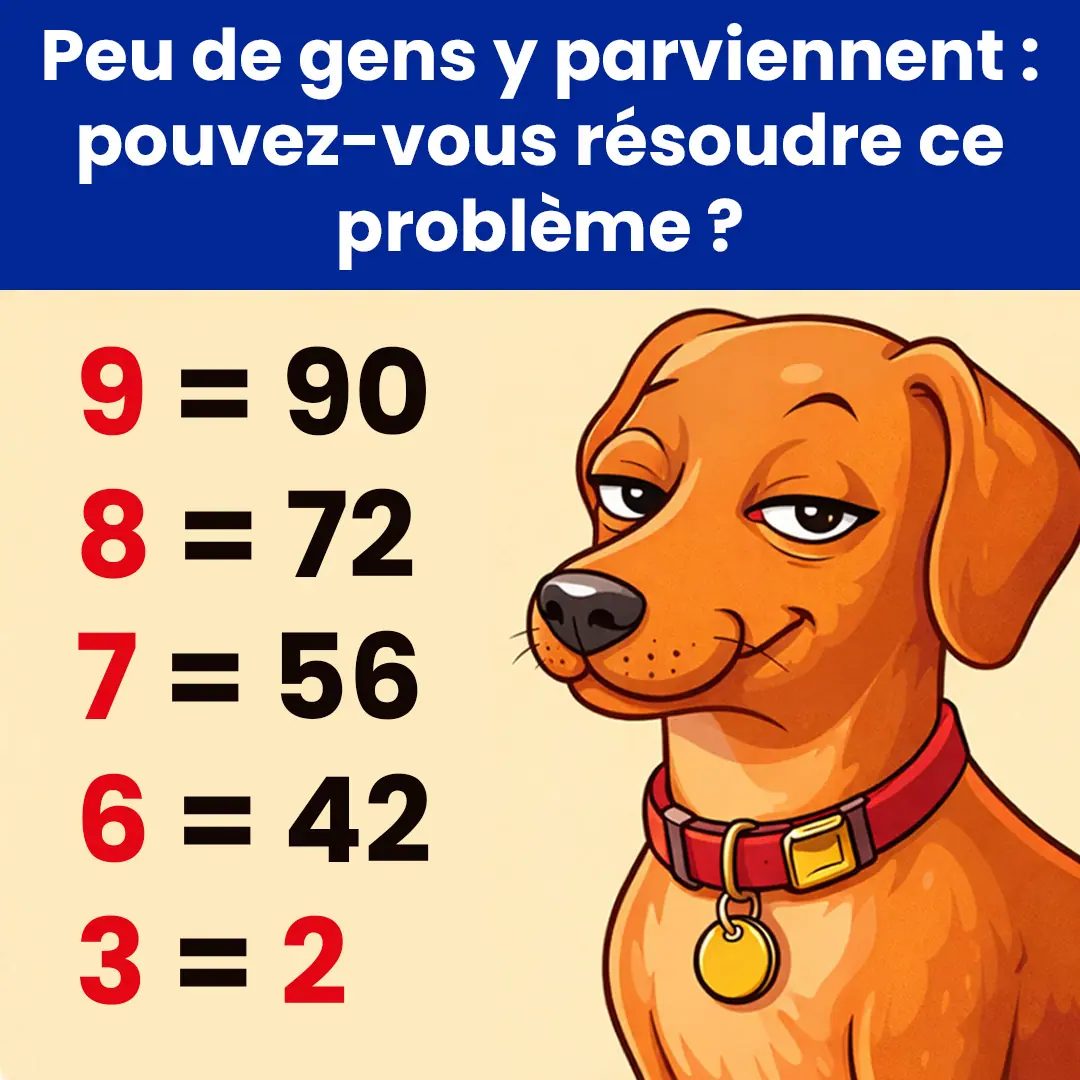 640199593 1436296191497802 4285808347556014190 n