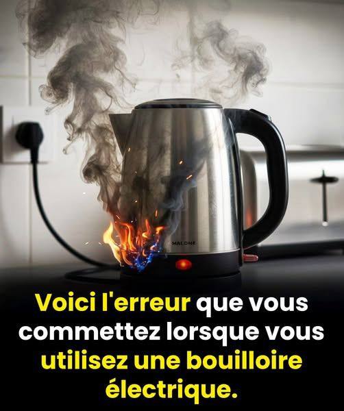 648880008 925818190049890 6851162321892403320 n