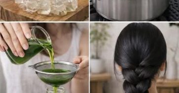 651178590 2747555992271947 8662716974427354832 n