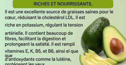 659634309 122181429434612906 8843769255502137842 n