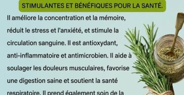 663177395 122172640580397633 1389489112893058898 n