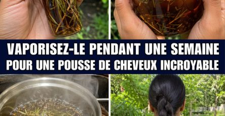 678573131 122131348005049208 7320688665183494605 n