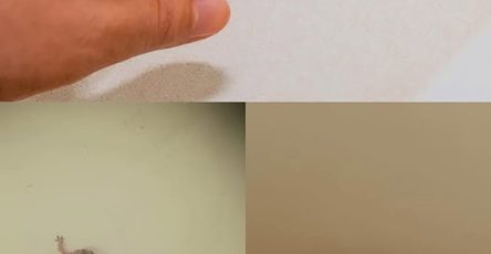 FB IMG 1773844166808 1 1