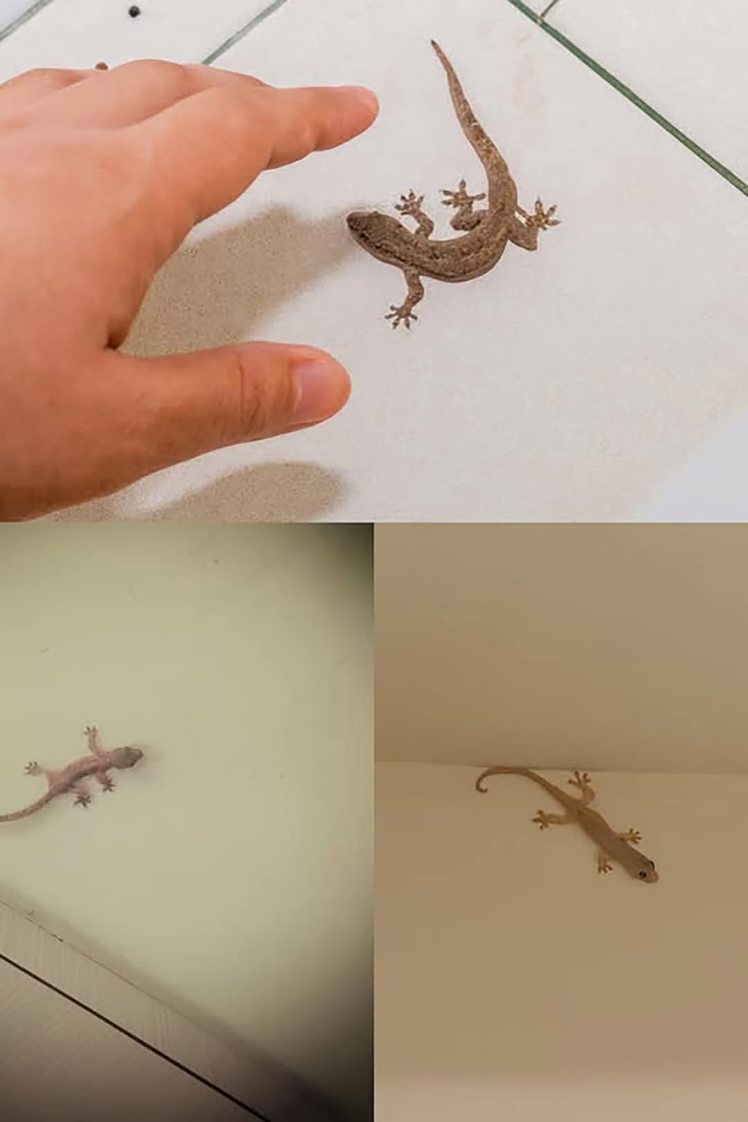 FB IMG 1773844166808 1 1