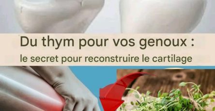 WhatsApp Image 2025 10 17 at 15.10.26