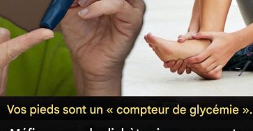 5386d360 8e3e 42ca b795 dfdfc62893e2