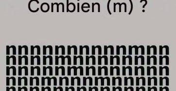 676909880 952477954430724 1534434492374539499 n