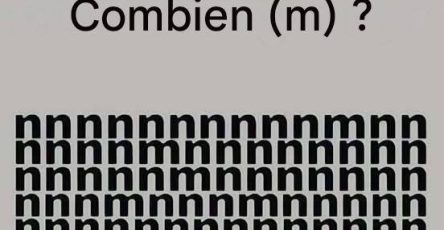 676909880 952477954430724 1534434492374539499 n