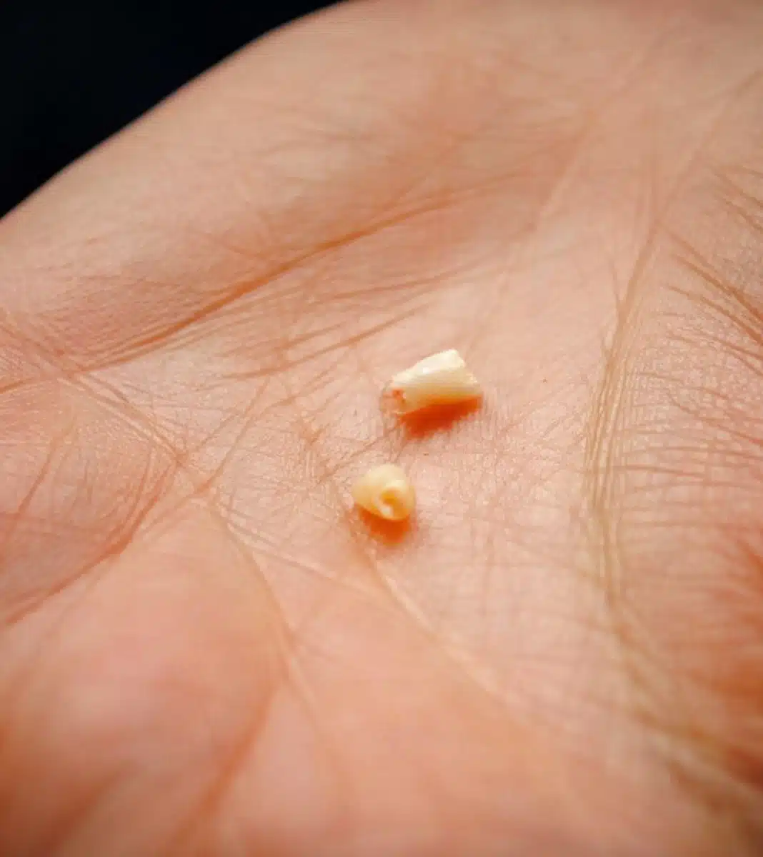 Pourquoi faut il conserver les dents de lait de bebe.jpg