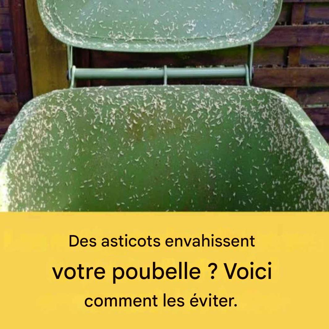 Telechargement