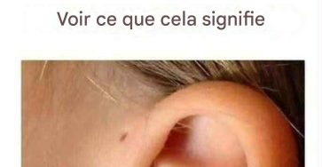 Telechargement 89 (1)