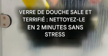 617372247 1300795618741640 4796890748939926643 n 2
