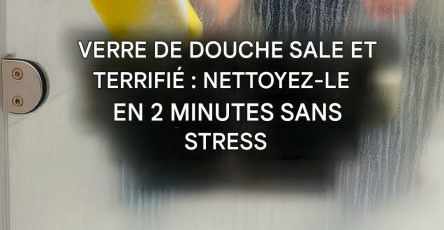 617372247 1300795618741640 4796890748939926643 n 2