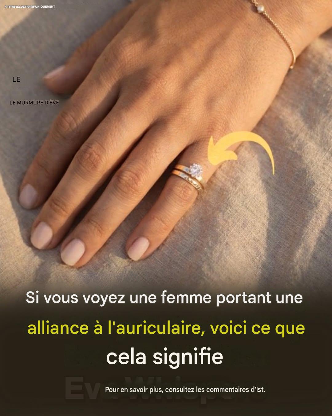 63d5333d 9e3f 4425 b2af 9c7ecc44b30c