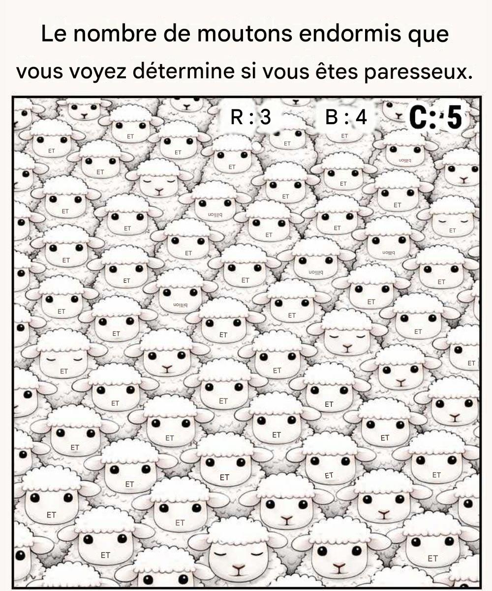 640169748 1475865320598829 4904732933271045018 n