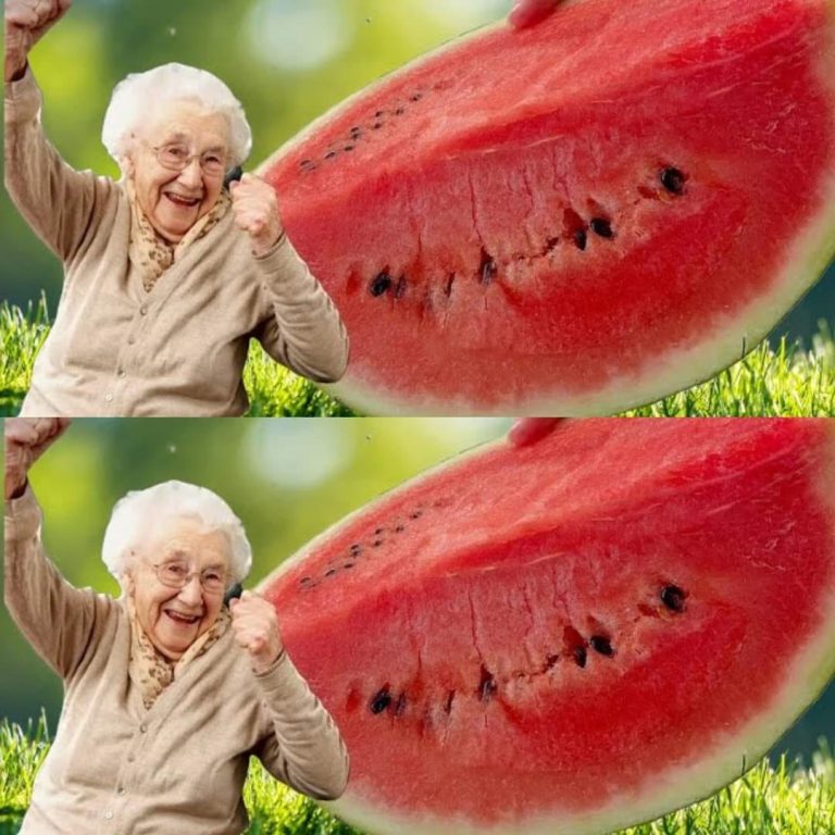 454371939 1834834487011535 3789112111008764518 n 768x768