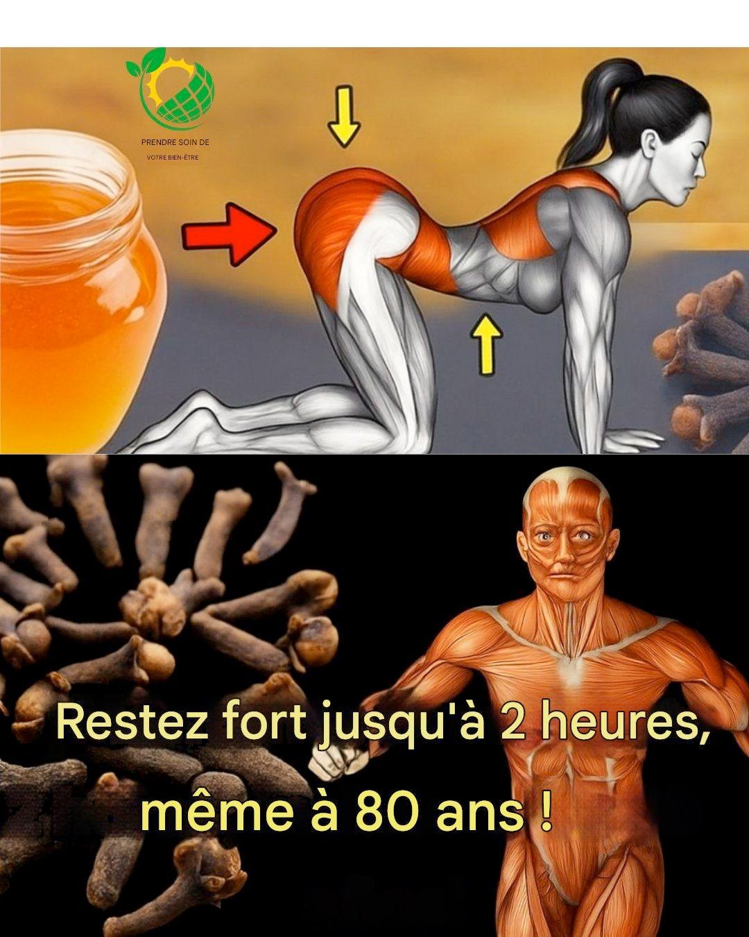 686201783 122122615977213253 4620169299635390174 n