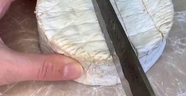 727466368 2610497286059849 784725027274130066 n