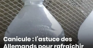Canicule lastuce des allemands pour rafraichir leur maison sans climatisation .jpg