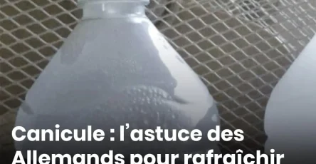 Canicule lastuce des allemands pour rafraichir leur maison sans climatisation .jpg