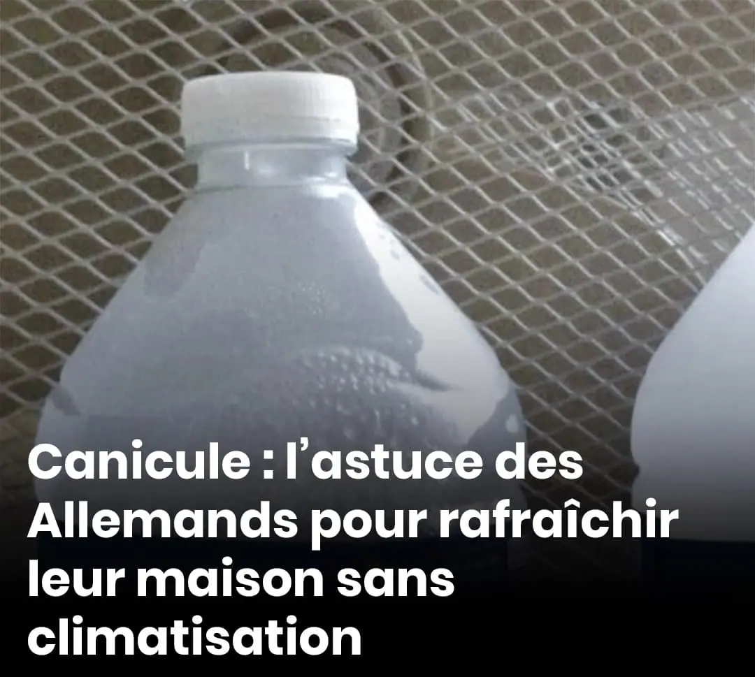 Canicule lastuce des allemands pour rafraichir leur maison sans climatisation .jpg