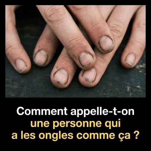 Nb2 167 20260723 104133 985ce893