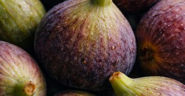 World hypertension day sixteen nine