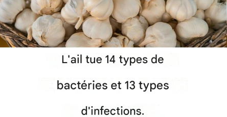 Fa714649 5889 4484 8141 23051f9d7282