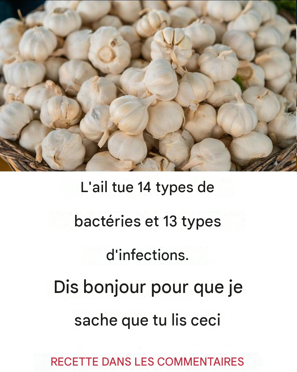 Fa714649 5889 4484 8141 23051f9d7282