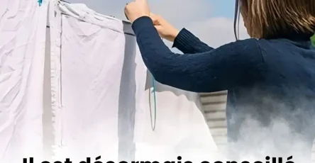 Pourquoi nest il pas recommande de suspendre ses vetements a lexterieur.jpg